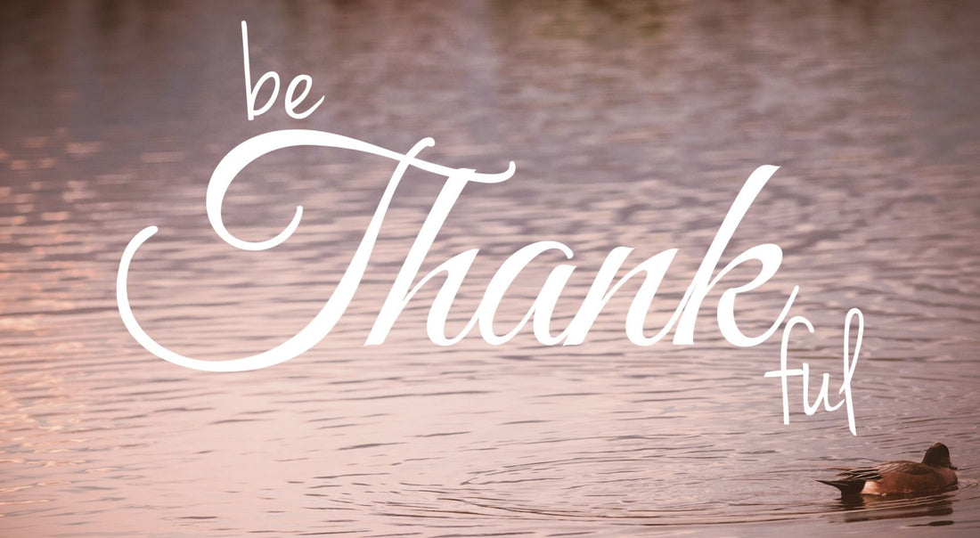 150 Things To Be Thankful For Today and Always