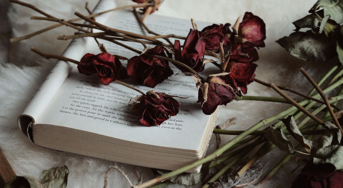 20 Romance Aesthetics You'll Fall in Love With