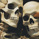 101 Skeleton Jokes & Puns That Are Super Humerus