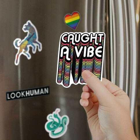 Caught A Vibe Retro Rainbow Magnet