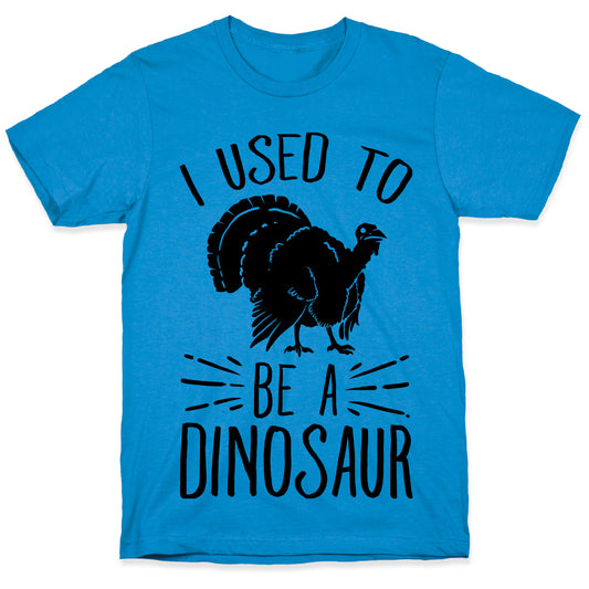 I Used to Be a Dinosaur T-Shirt