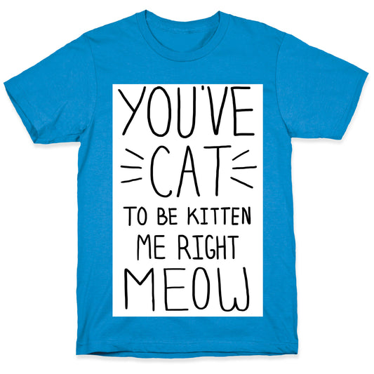 You've Cat to be Kitten Me Right Meow T-Shirt