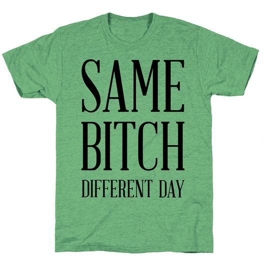 Same Bitch Different Day Unisex Triblend Tee