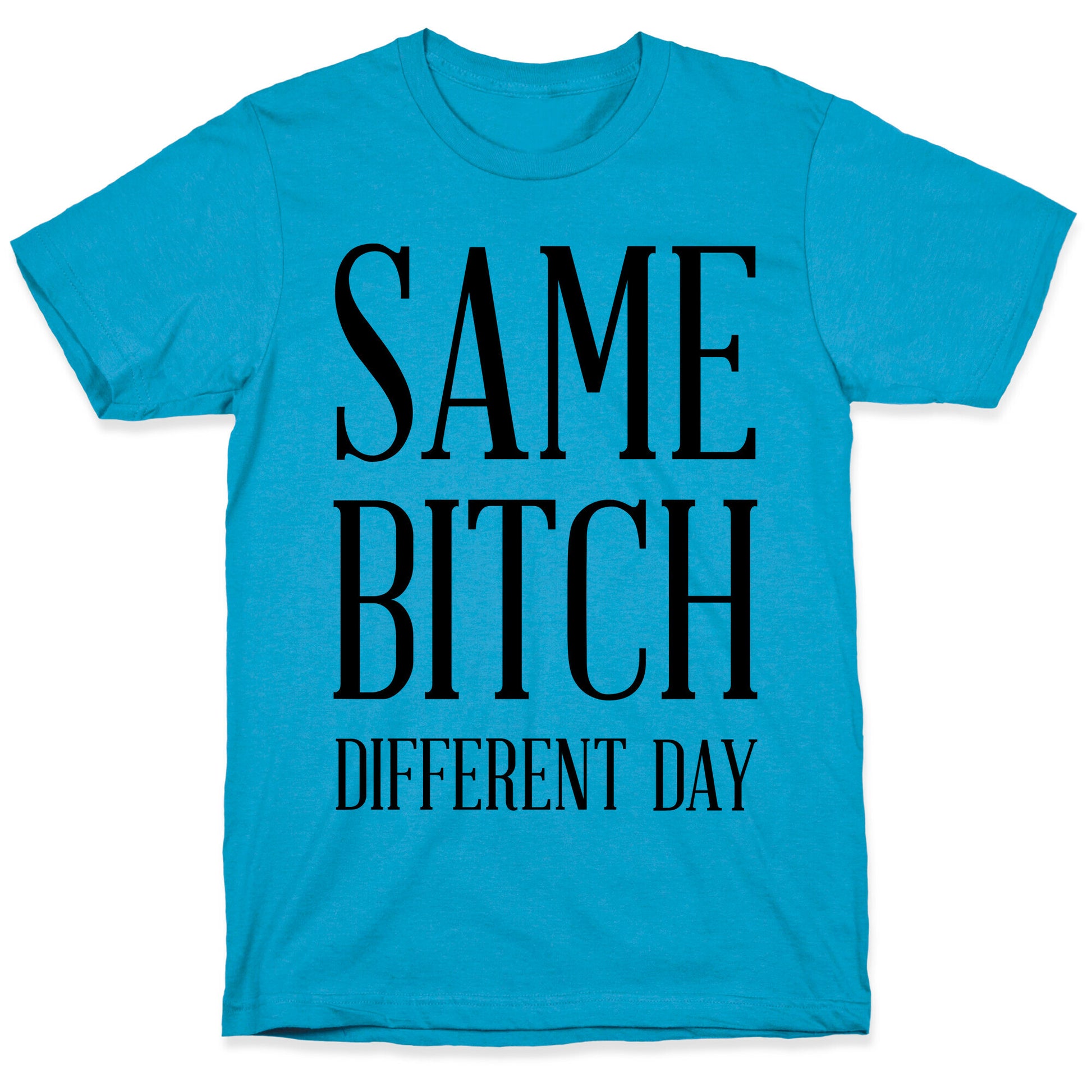 Same Bitch Different Day Unisex Triblend Tee