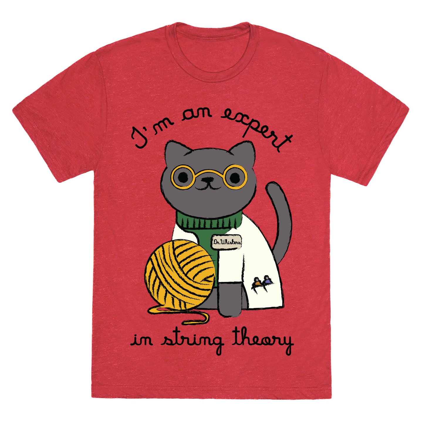 I'm An Expert In String Theory Unisex Triblend Tee