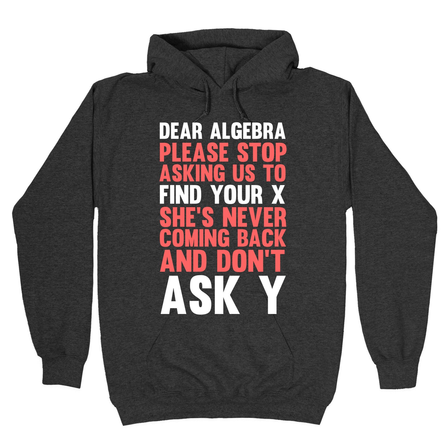 Dear Algebra Hoodie