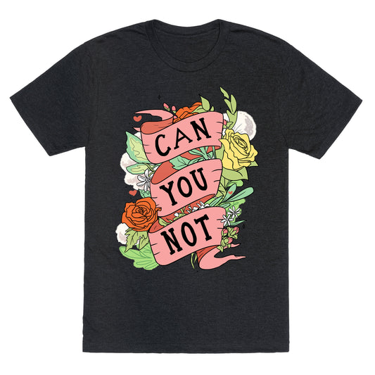 Can You Not Unisex Triblend Tee