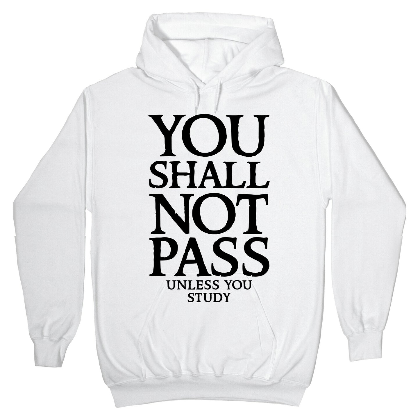 You Shall Not Pass (Unless You Study) Hoodie