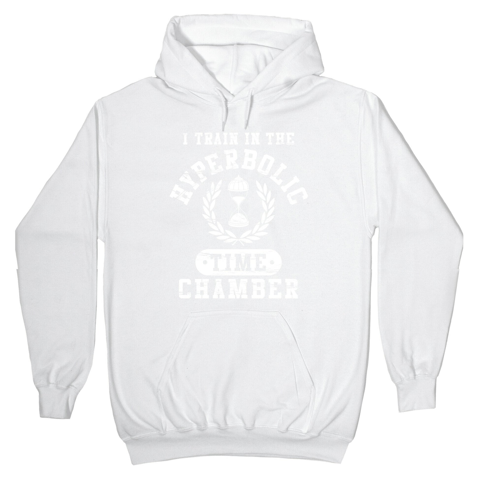 Hyperbolic Time Chamber (Distressed) Hoodie