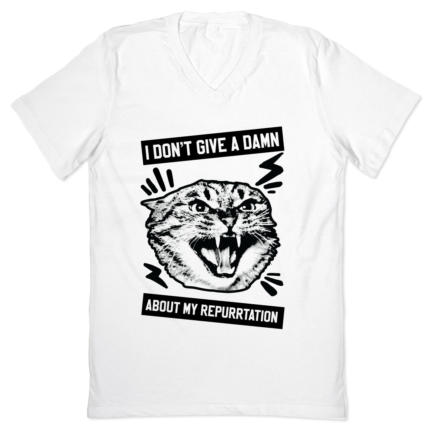 I Don't Give A Damn About My Repurrtation V-Neck