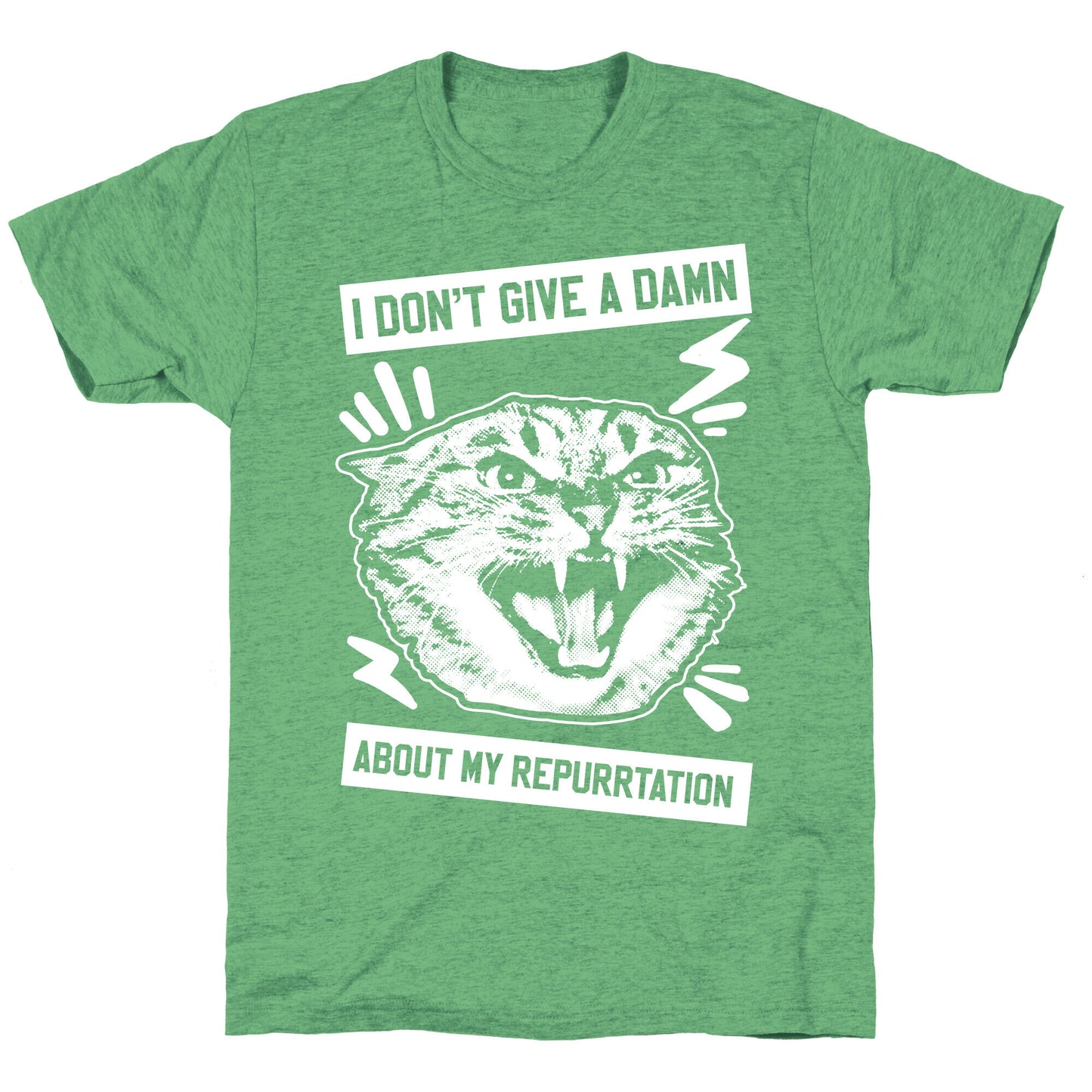 I Don't Give A Damn About My Repurrtation Unisex Triblend Tee