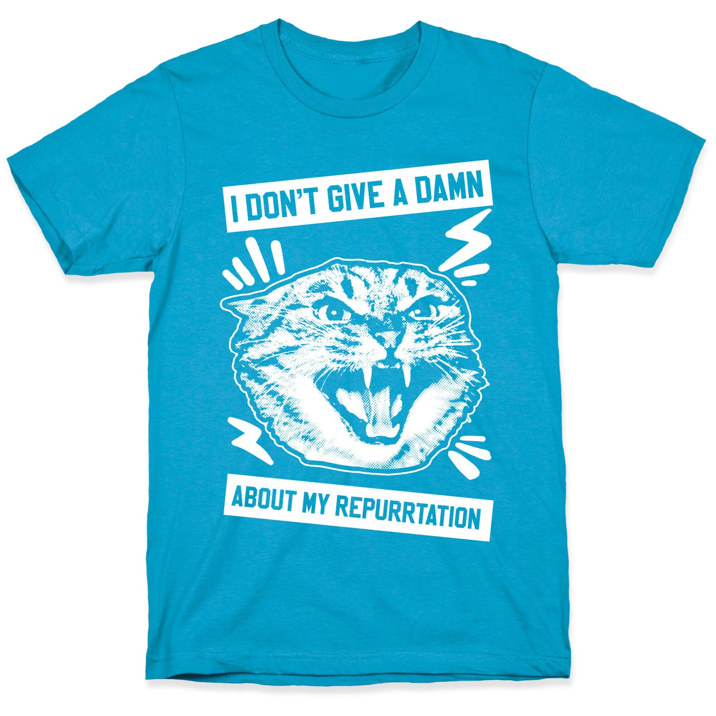 I Don't Give A Damn About My Repurrtation Unisex Triblend Tee