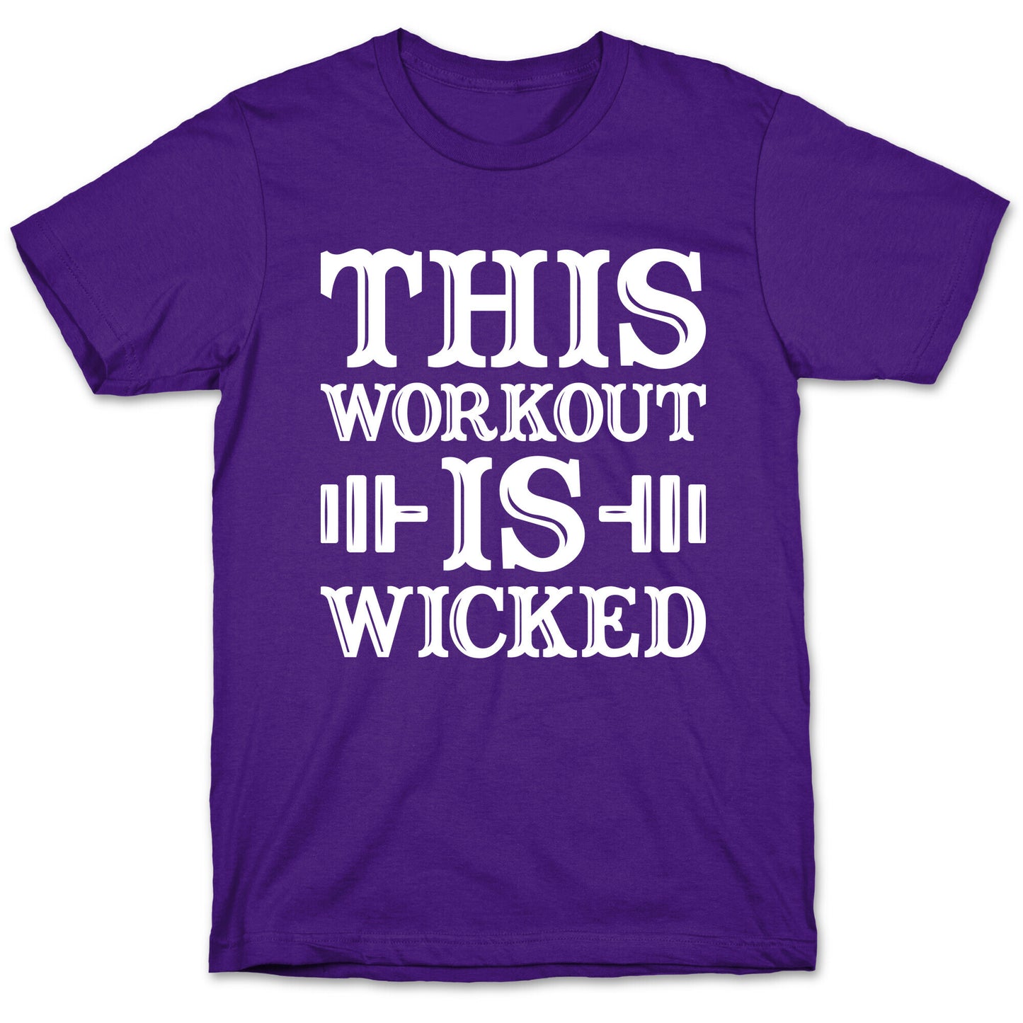 This Workout Is Wicked T-Shirt