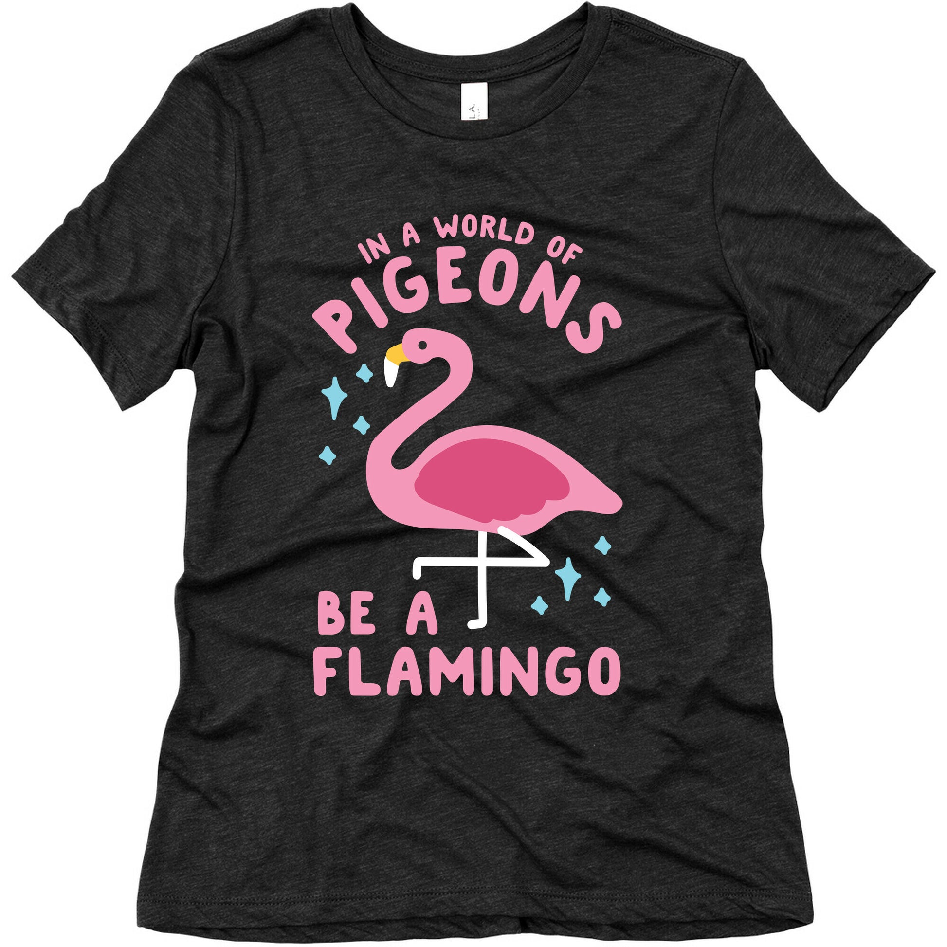 In a World Of Pigeons Women's Triblend Tee