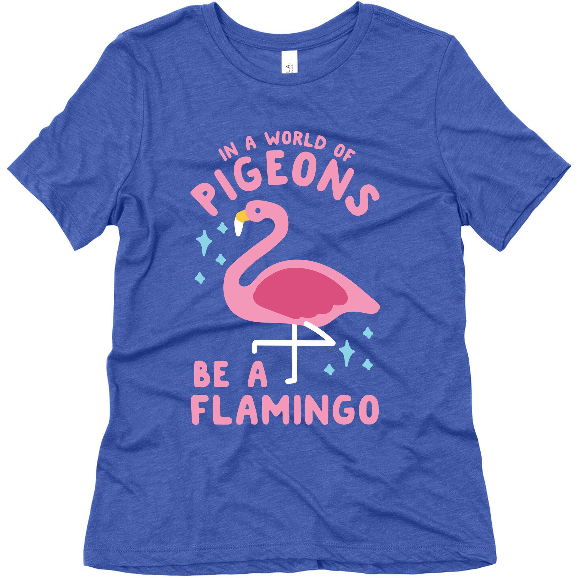 In a World Of Pigeons Women's Triblend Tee