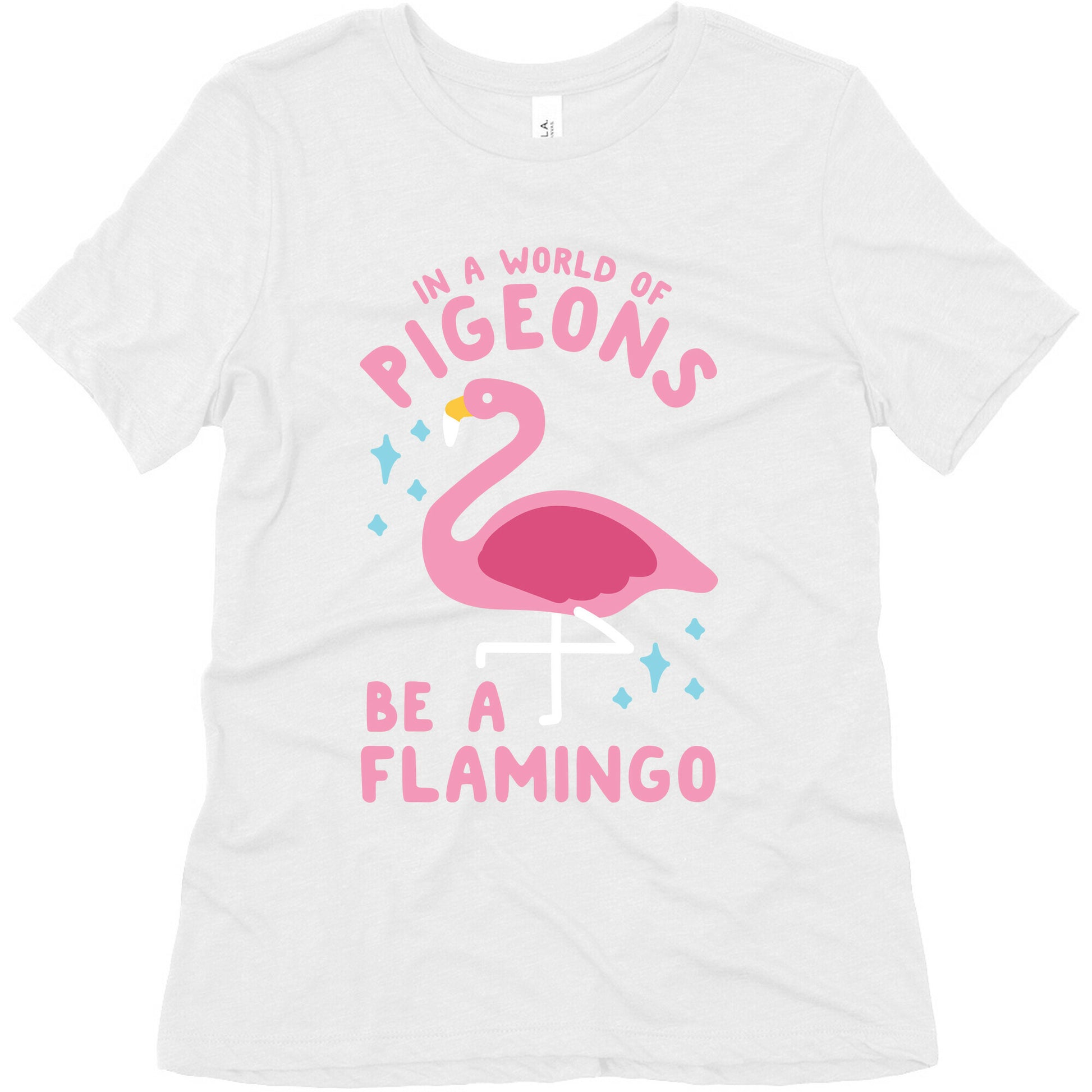 In a World Of Pigeons Women's Triblend Tee