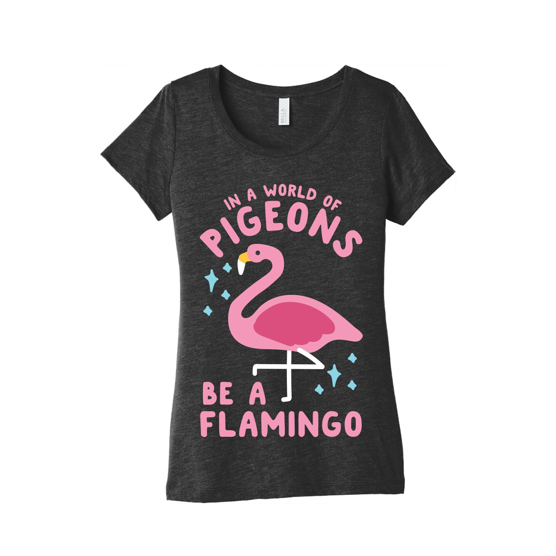 In a World Of Pigeons Women's Triblend Tee