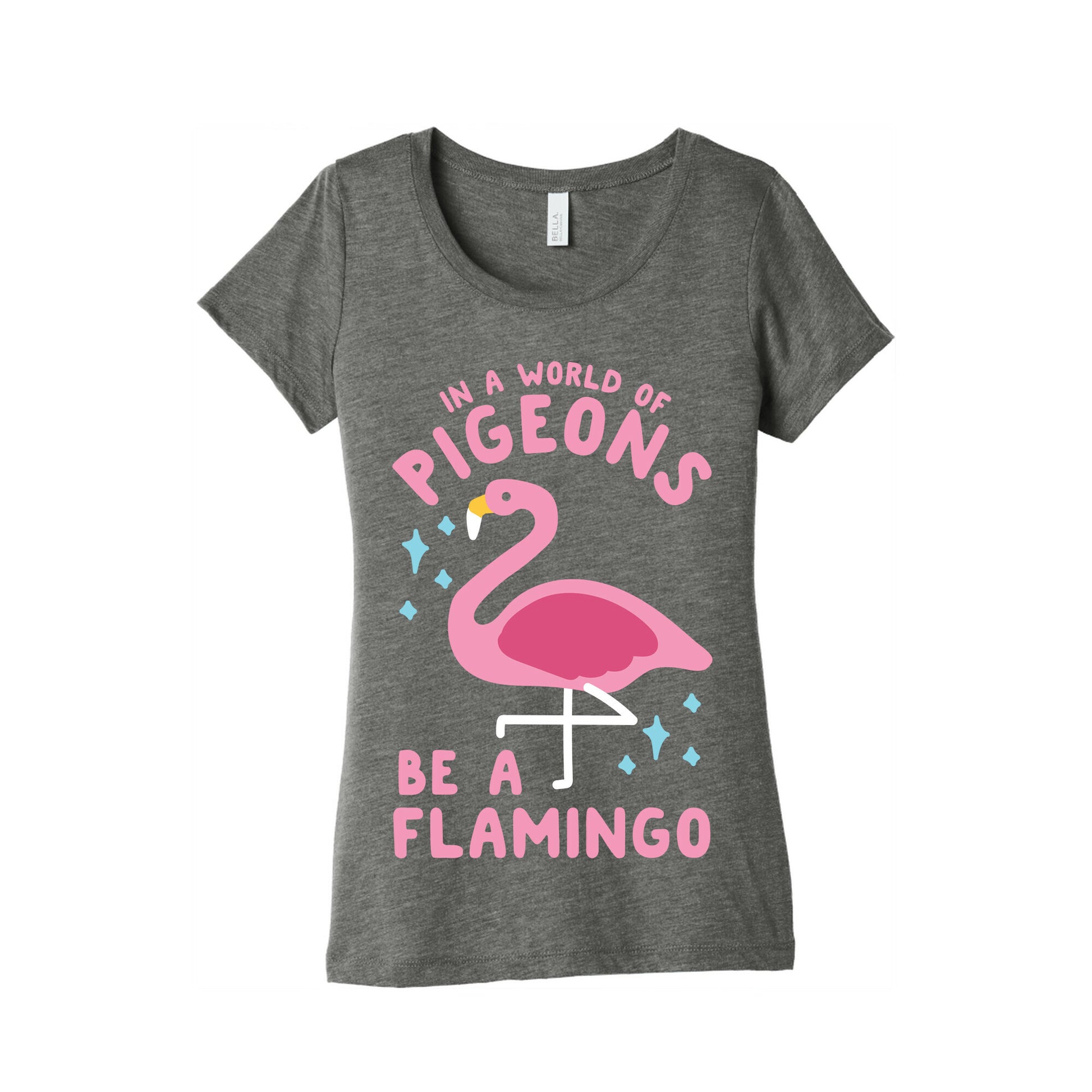 In a World Of Pigeons Women's Triblend Tee