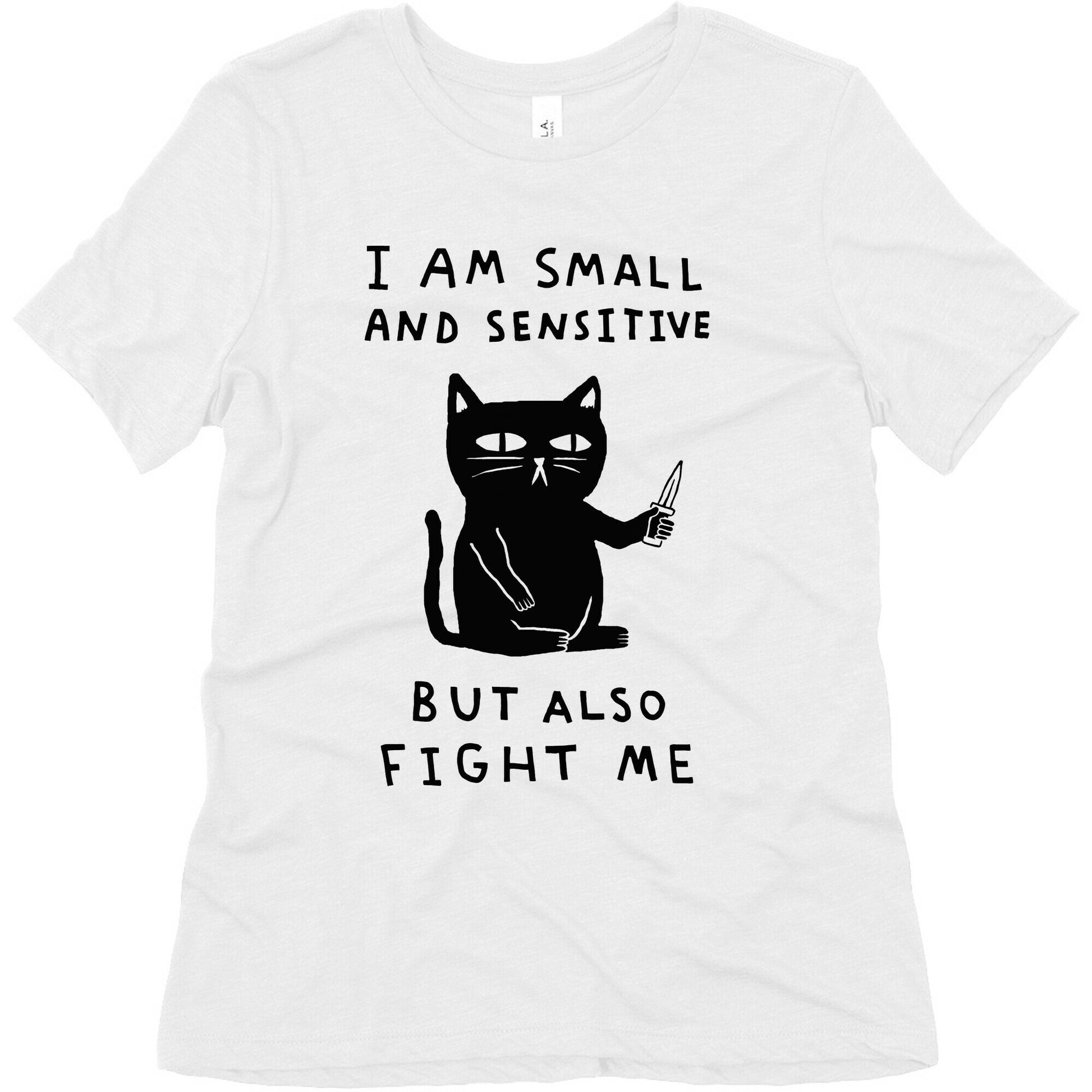 I Am Small And Sensitive But Also Fight Me Cat Women's Triblend Tee