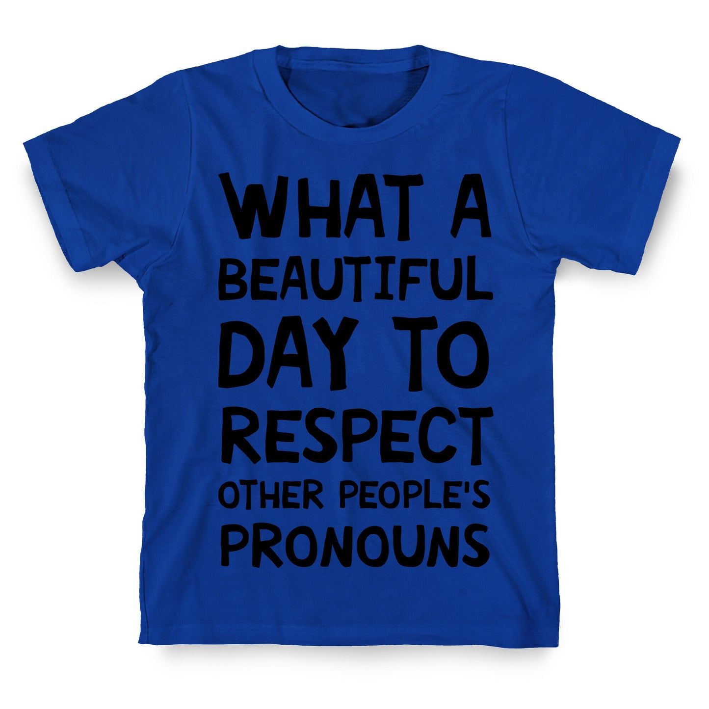 What A Beautiful Day To Respect Other People's Pronouns T-Shirt