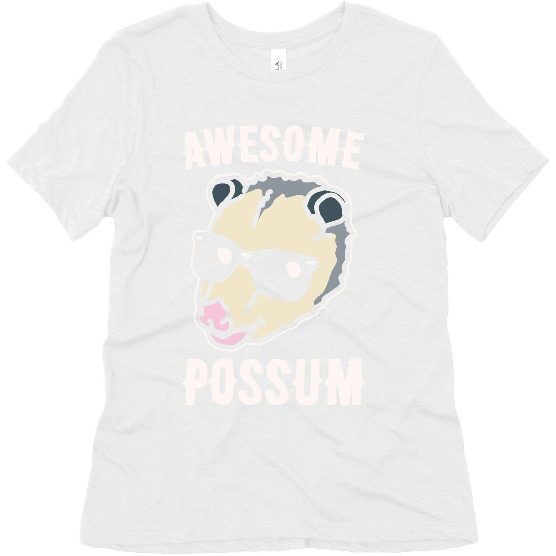 Awesome Possum White Print Women's Triblend Tee