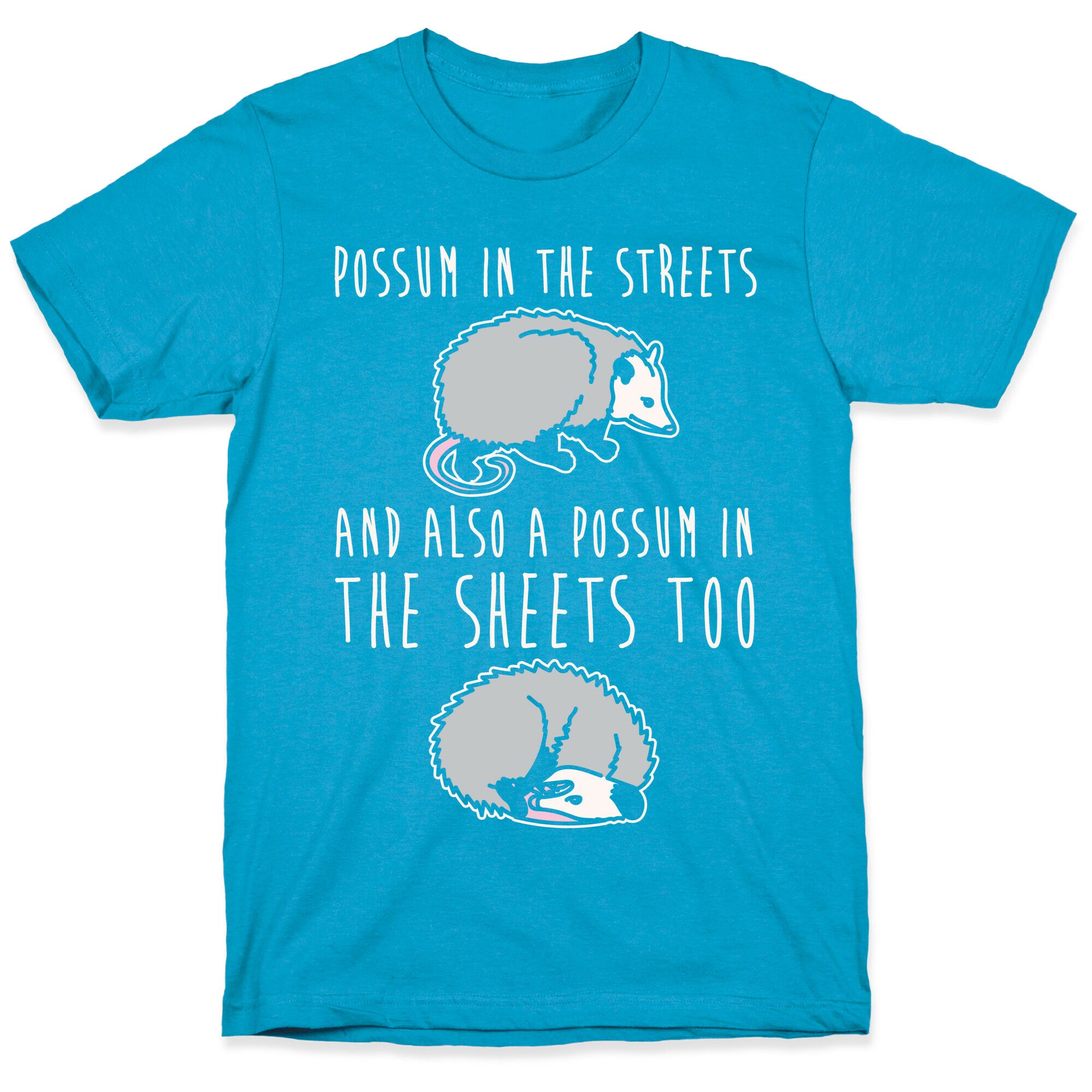 Possum In The Streets and Also A Possum In The Sheets White Print Unisex Triblend Tee