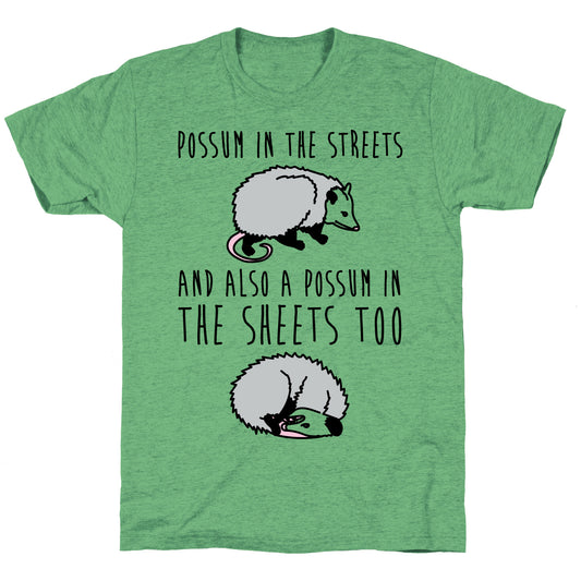Possum In The Streets and Also A Possum In The Sheets  Unisex Triblend Tee