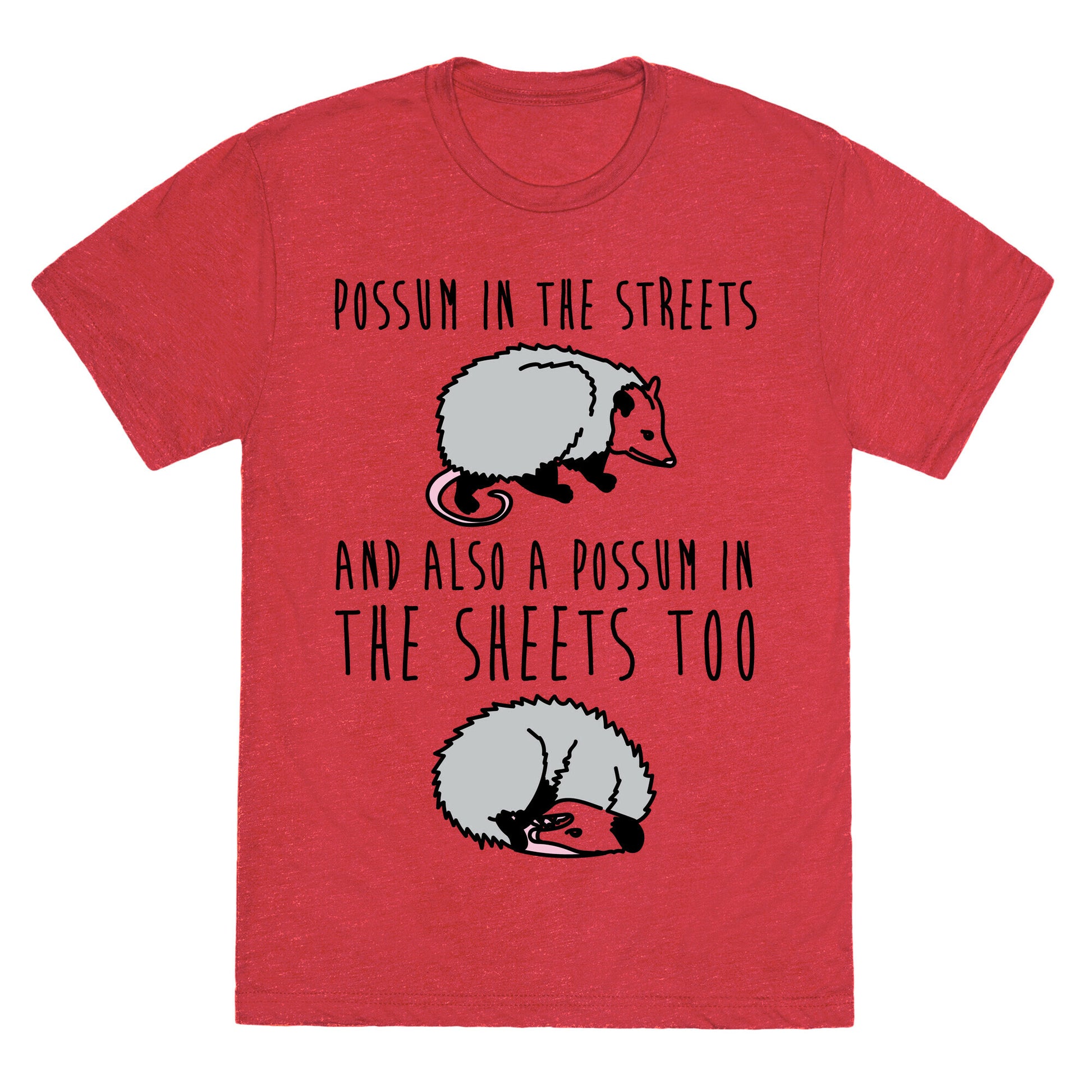 Possum In The Streets and Also A Possum In The Sheets  Unisex Triblend Tee