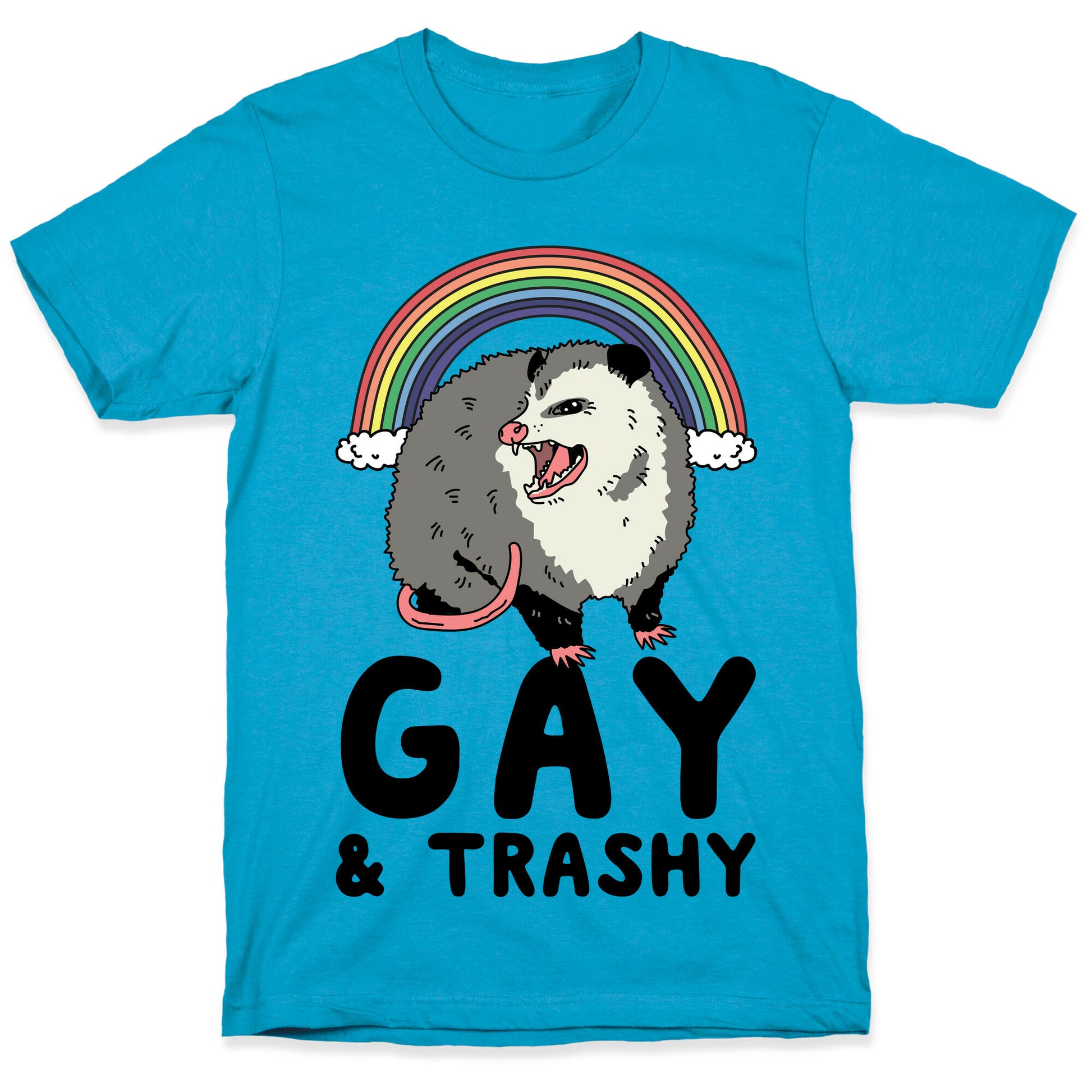 Gay and Trashy Possum Unisex Triblend Tee