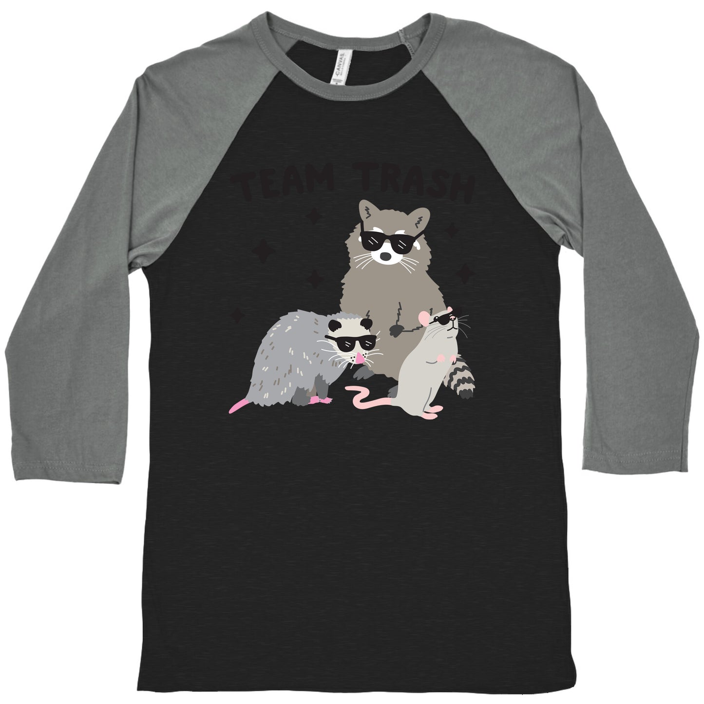 Team Trash Opossum Raccoon Rat Baseball Tee