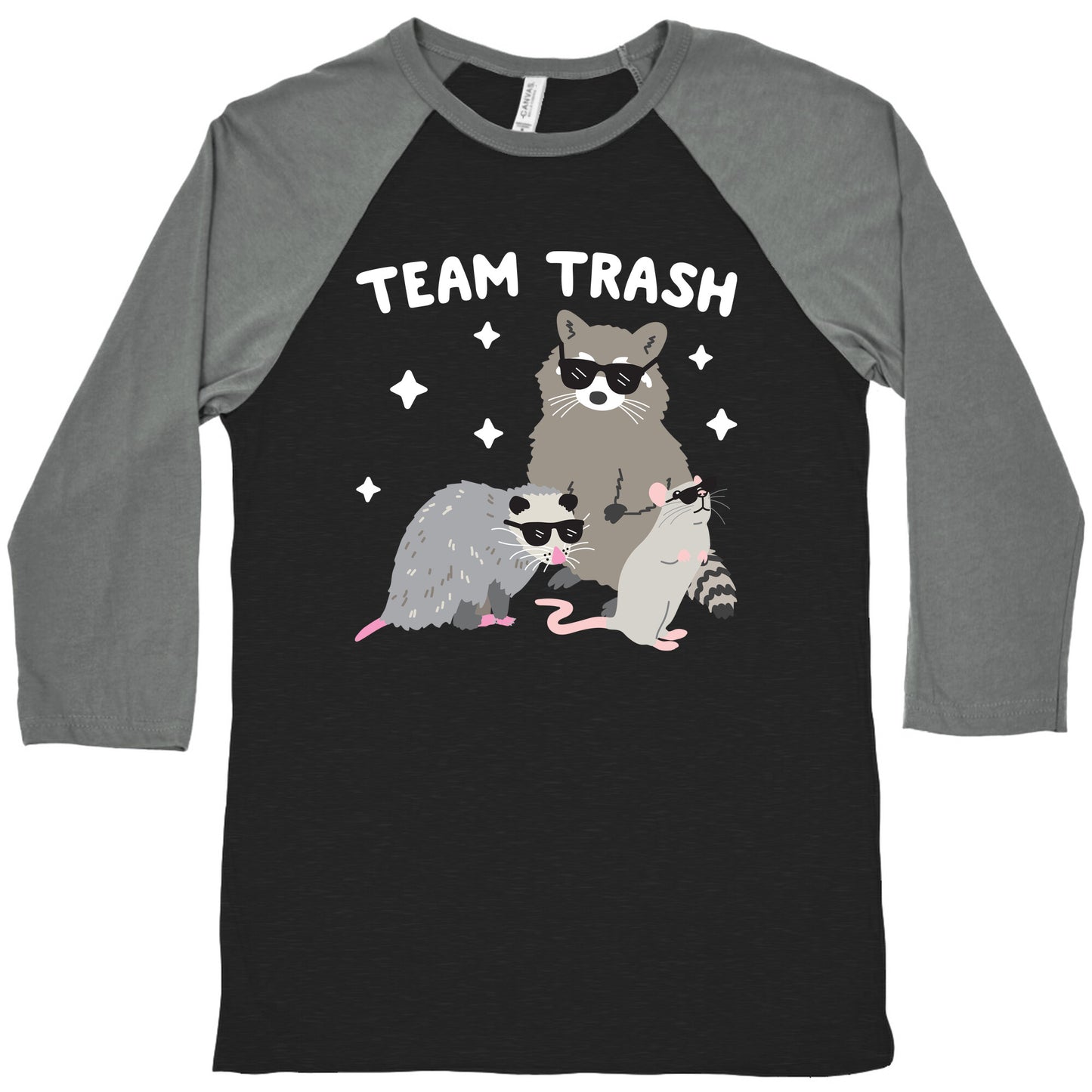 Team Trash Opossum Raccoon Rat Baseball Tee