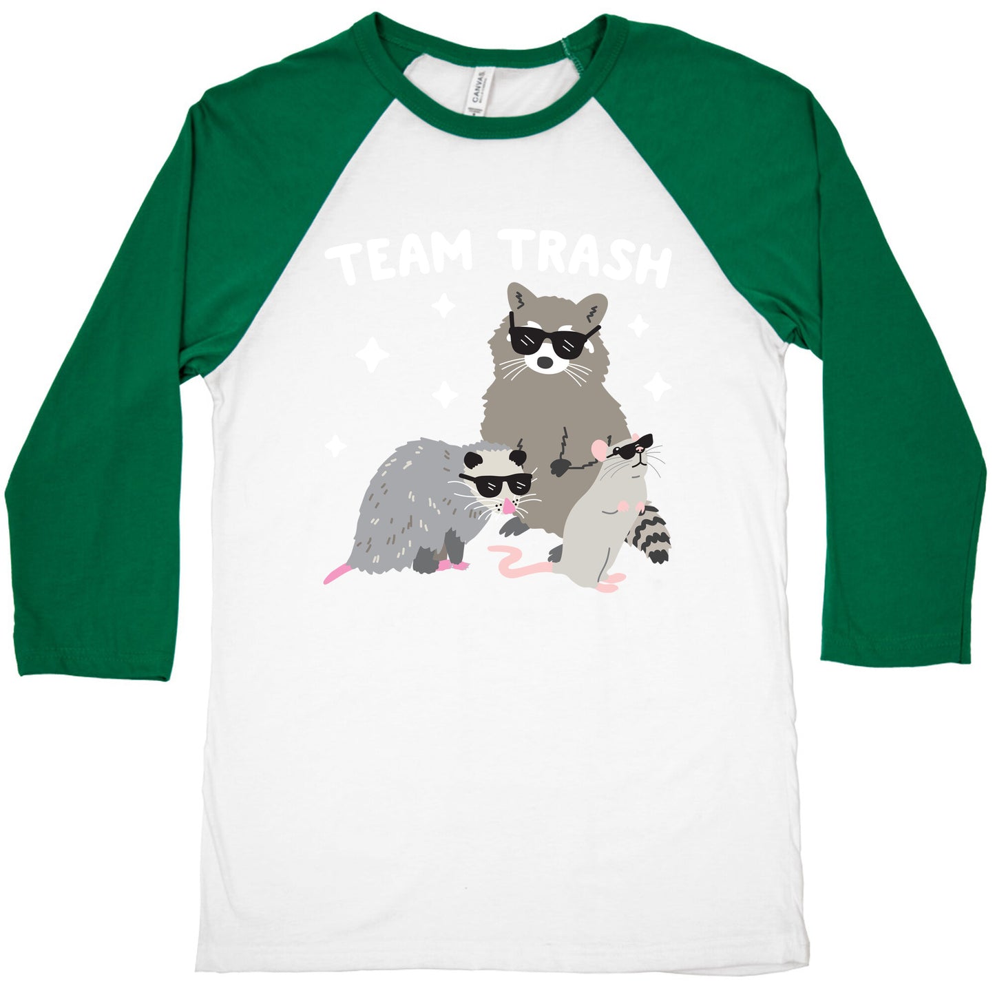 Team Trash Opossum Raccoon Rat Baseball Tee