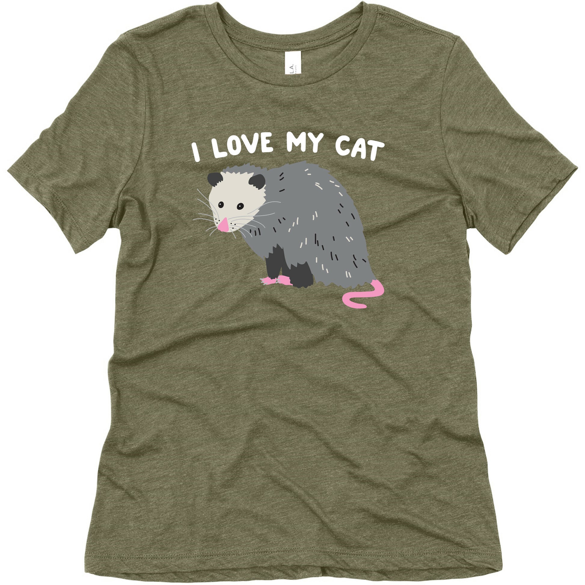 I Love My Cat Opossum Women's Triblend Tee