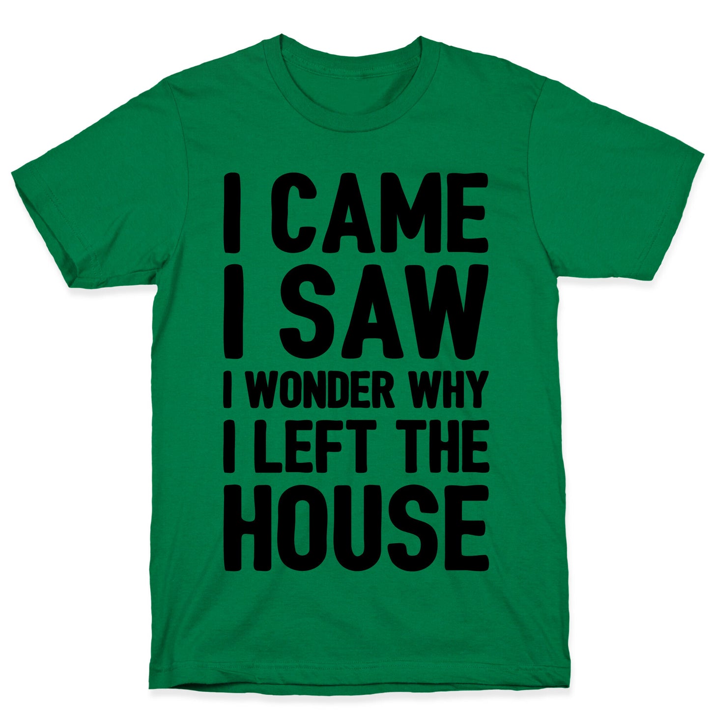 I Came I Saw I Wonder Why I Left The House T-Shirt