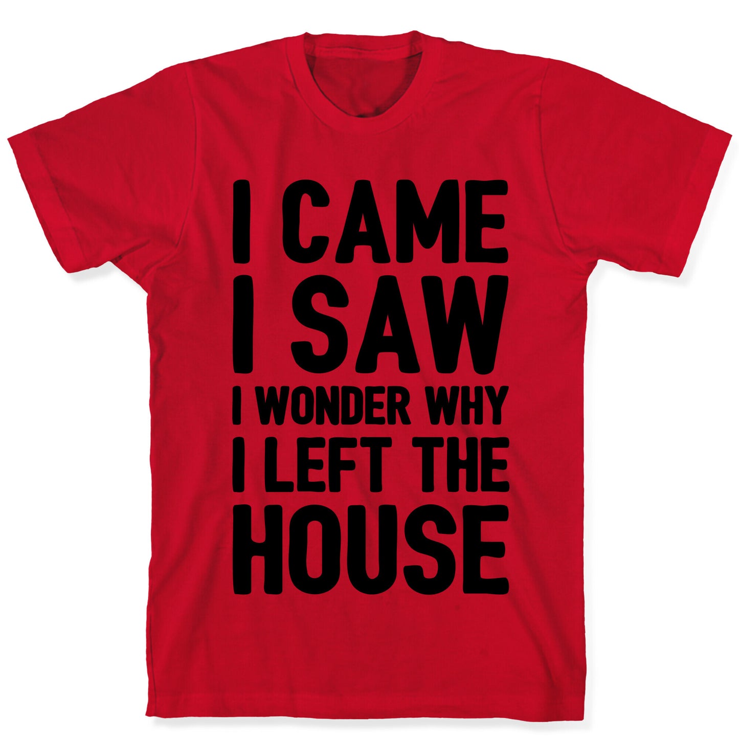 I Came I Saw I Wonder Why I Left The House T-Shirt