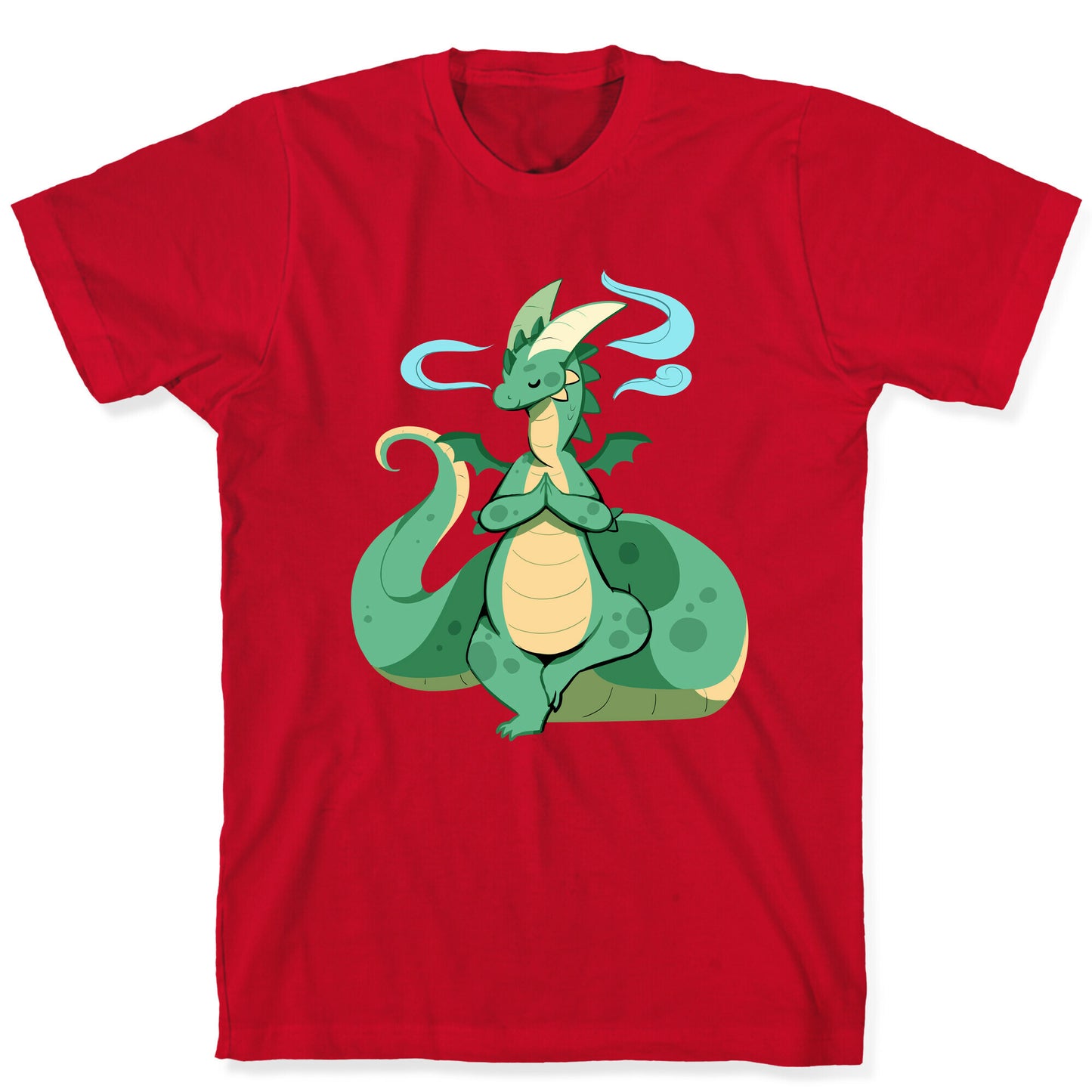 Dragon At Peace T-Shirt
