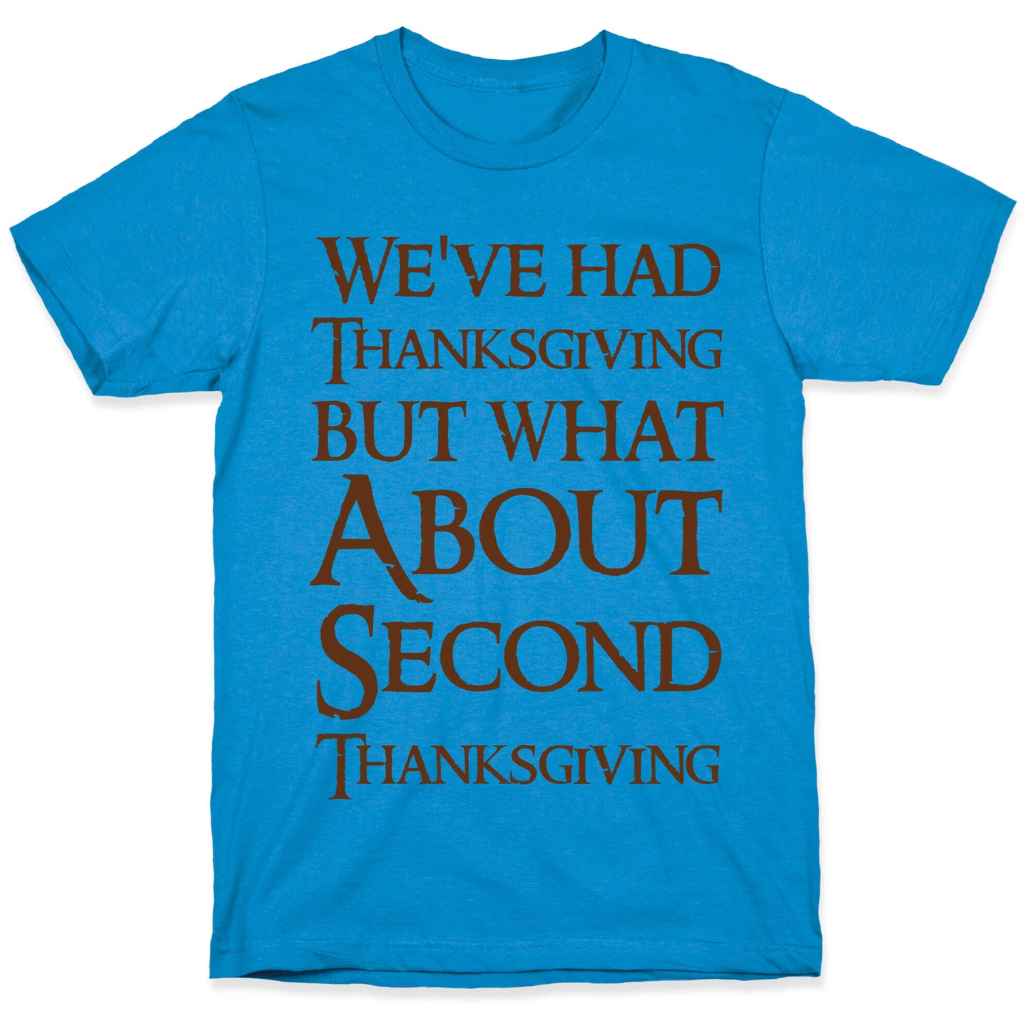 We've Had Thanksgiving But What About Second Thanksgiving T-Shirt