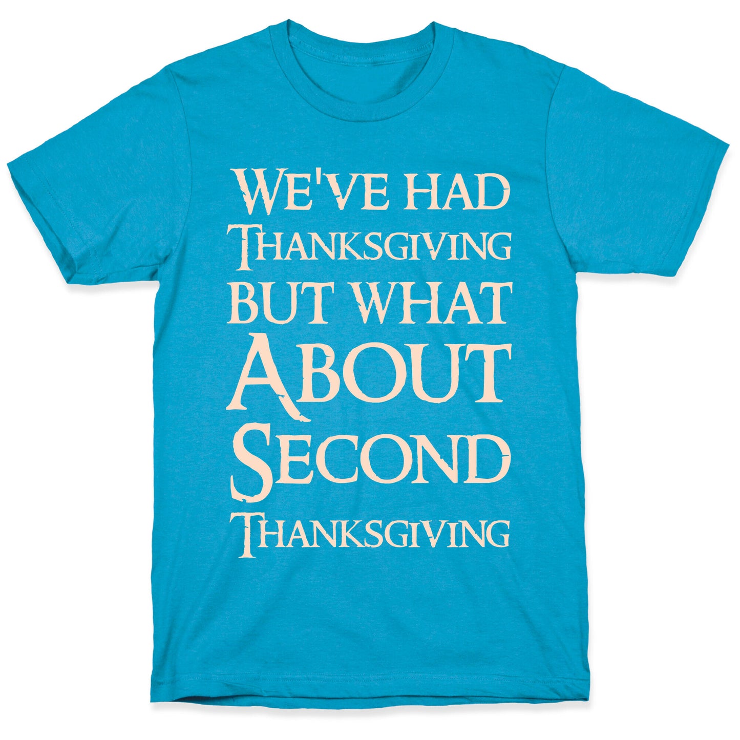 We've Had Thanksgiving But What About Second Thanksgiving Unisex Triblend Tee