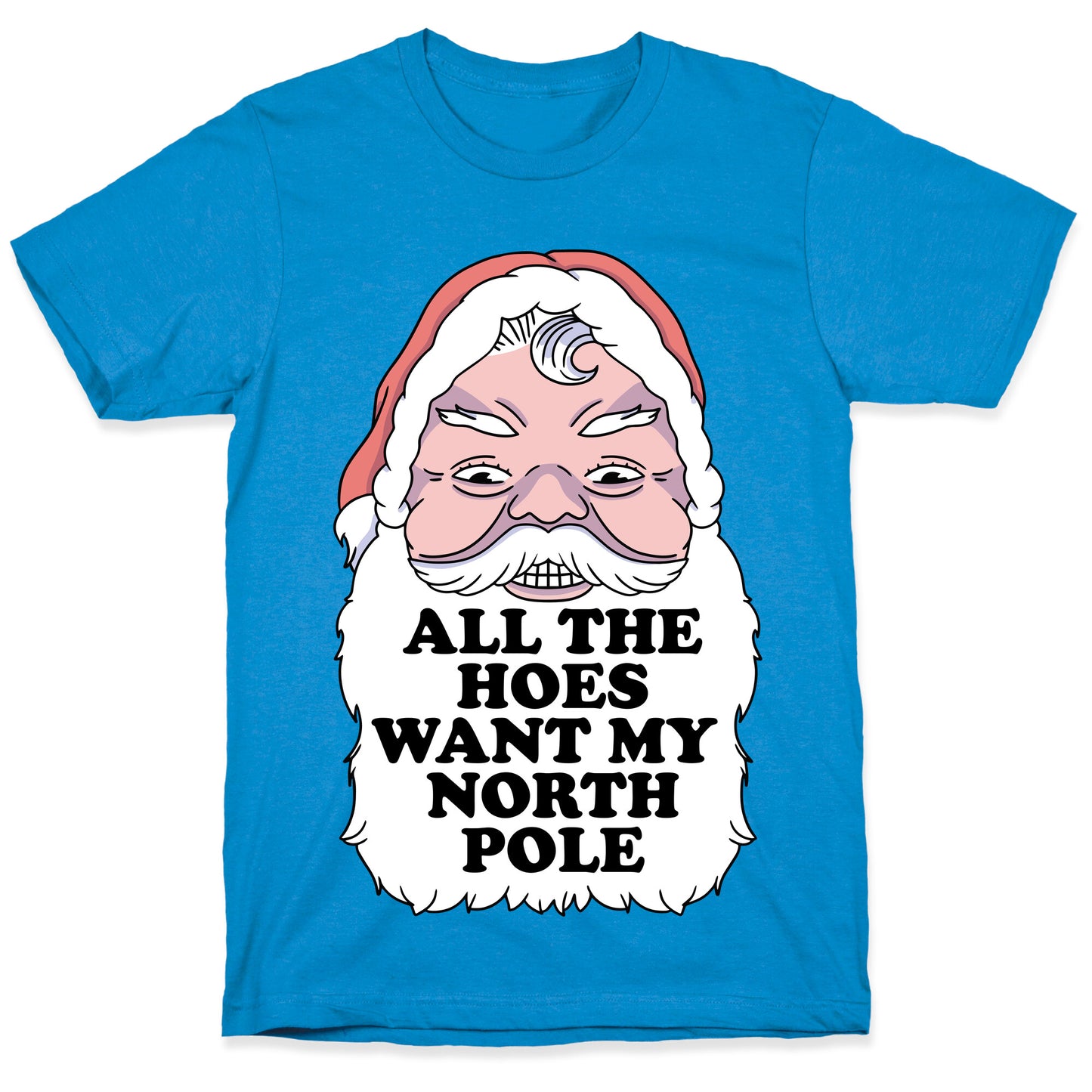All The Hoes Want My North Pole T-Shirt