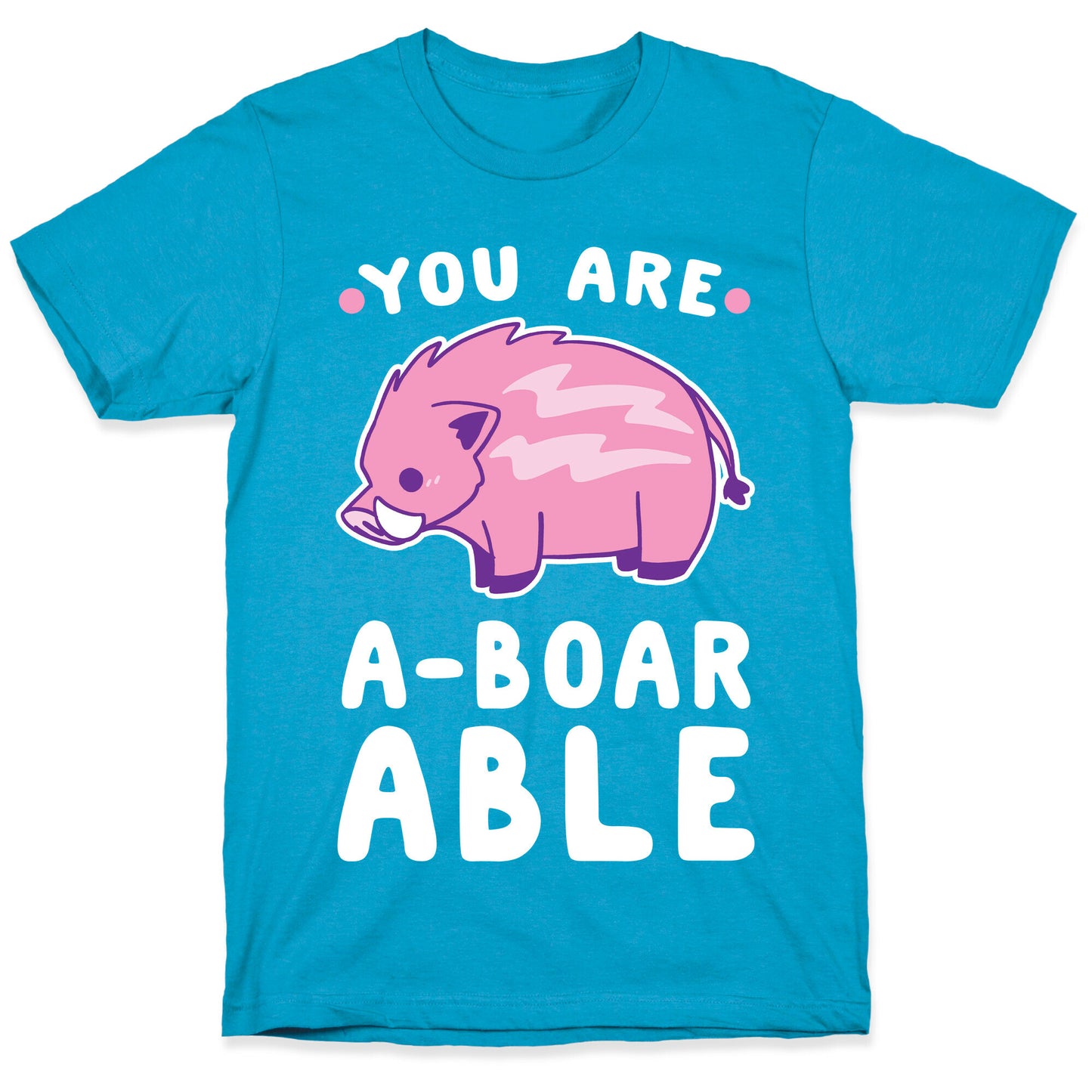 You are Aboarable Unisex Triblend Tee