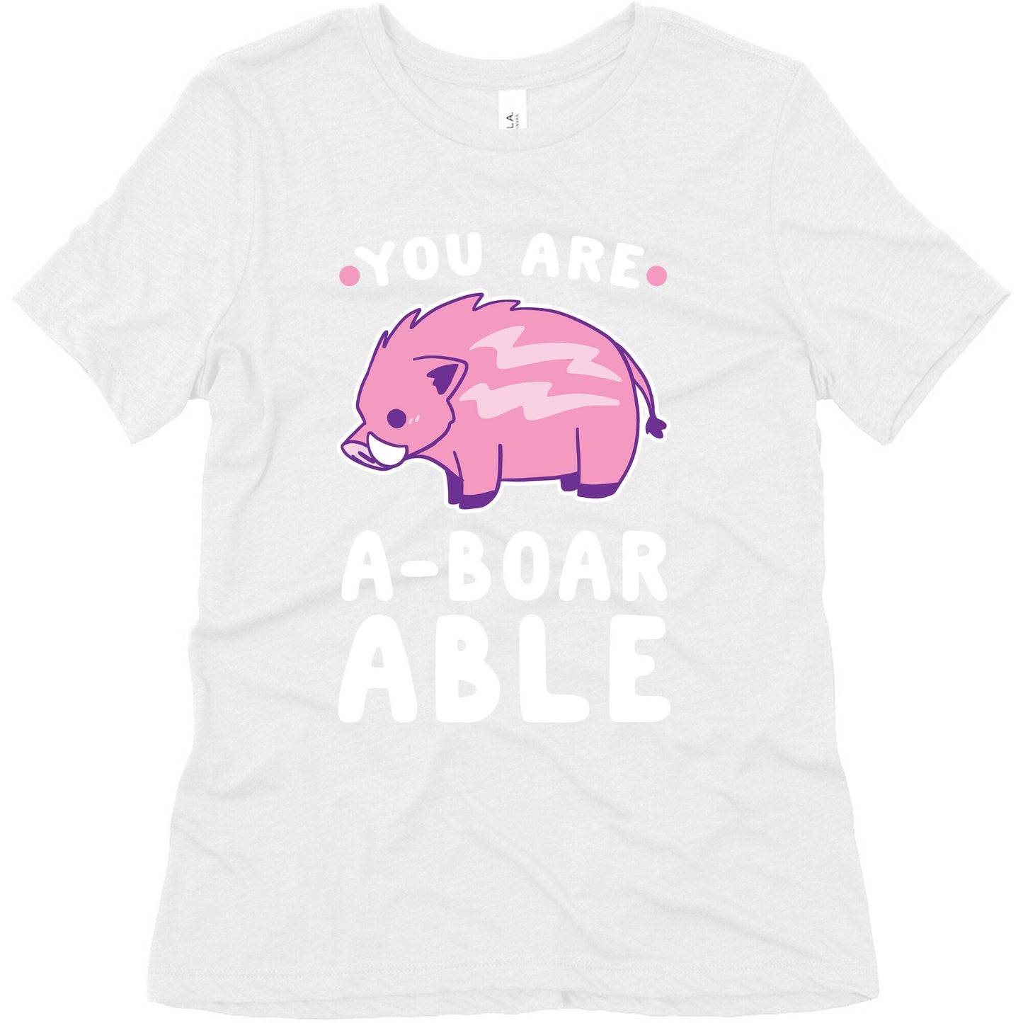 You are Aboarable Women's Triblend Tee