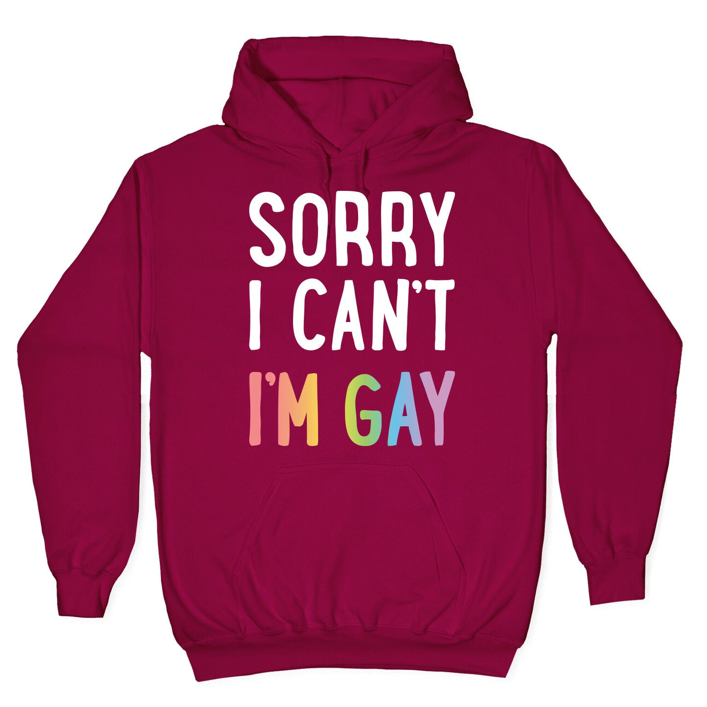Sorry I Can't I'm Gay Hoodie