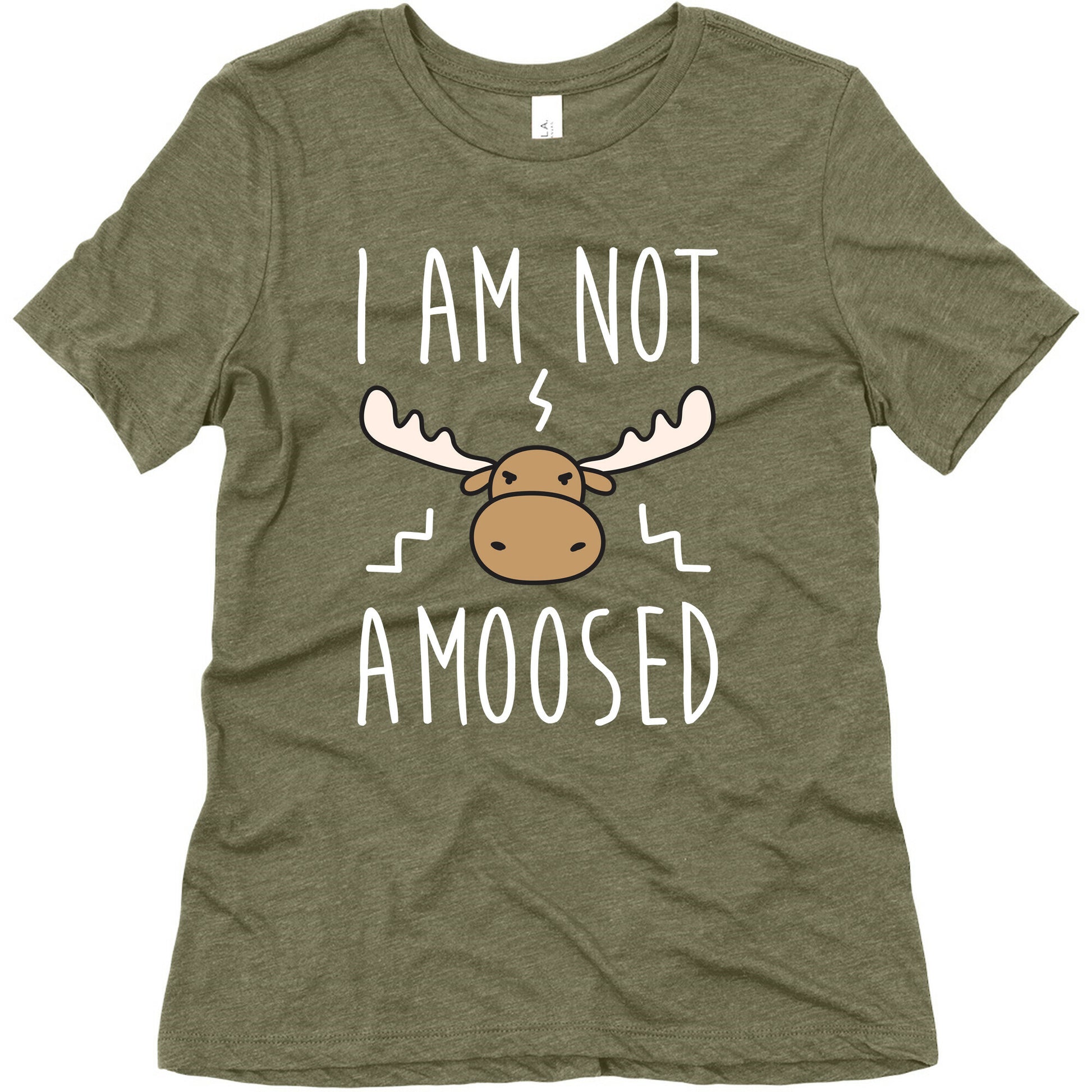 I Am Not Amoosed Women's Triblend Tee