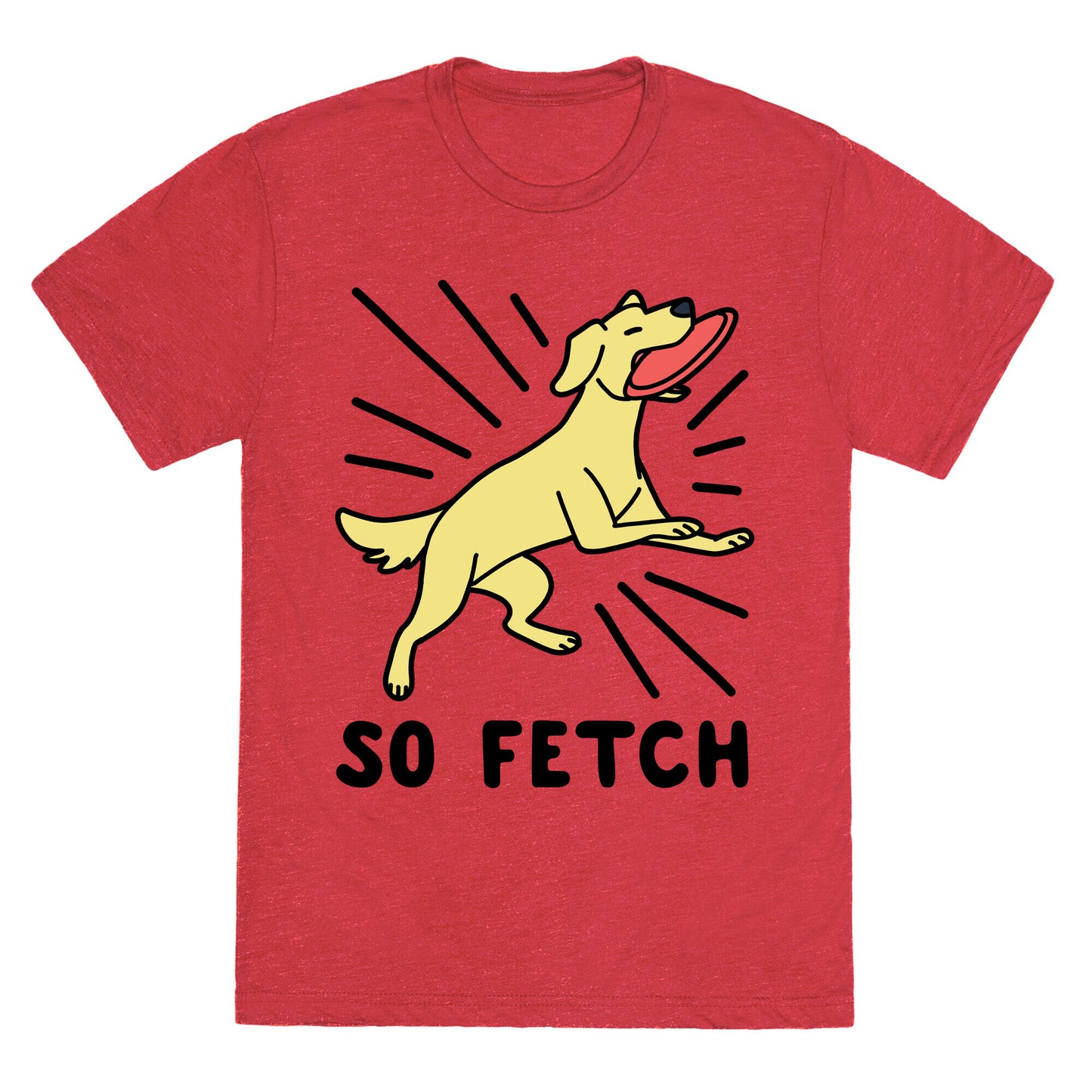 So Fetch - Dog Unisex Triblend Tee