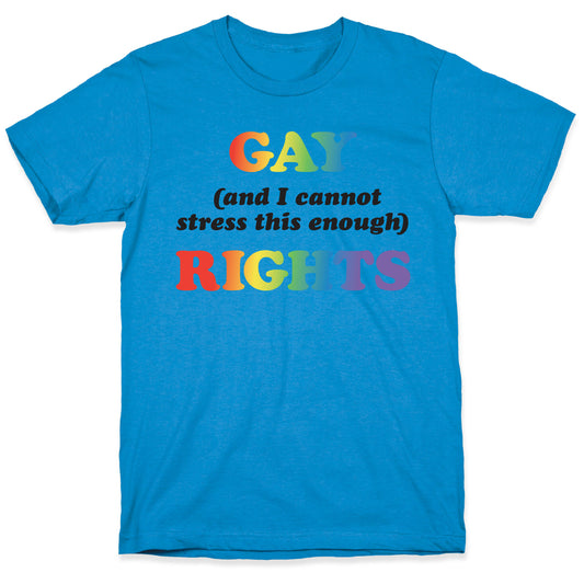 Gay (and I cannot stress this enough) Rights T-Shirt