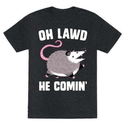 Oh Lawd He Comin' Possum Unisex Triblend Tee