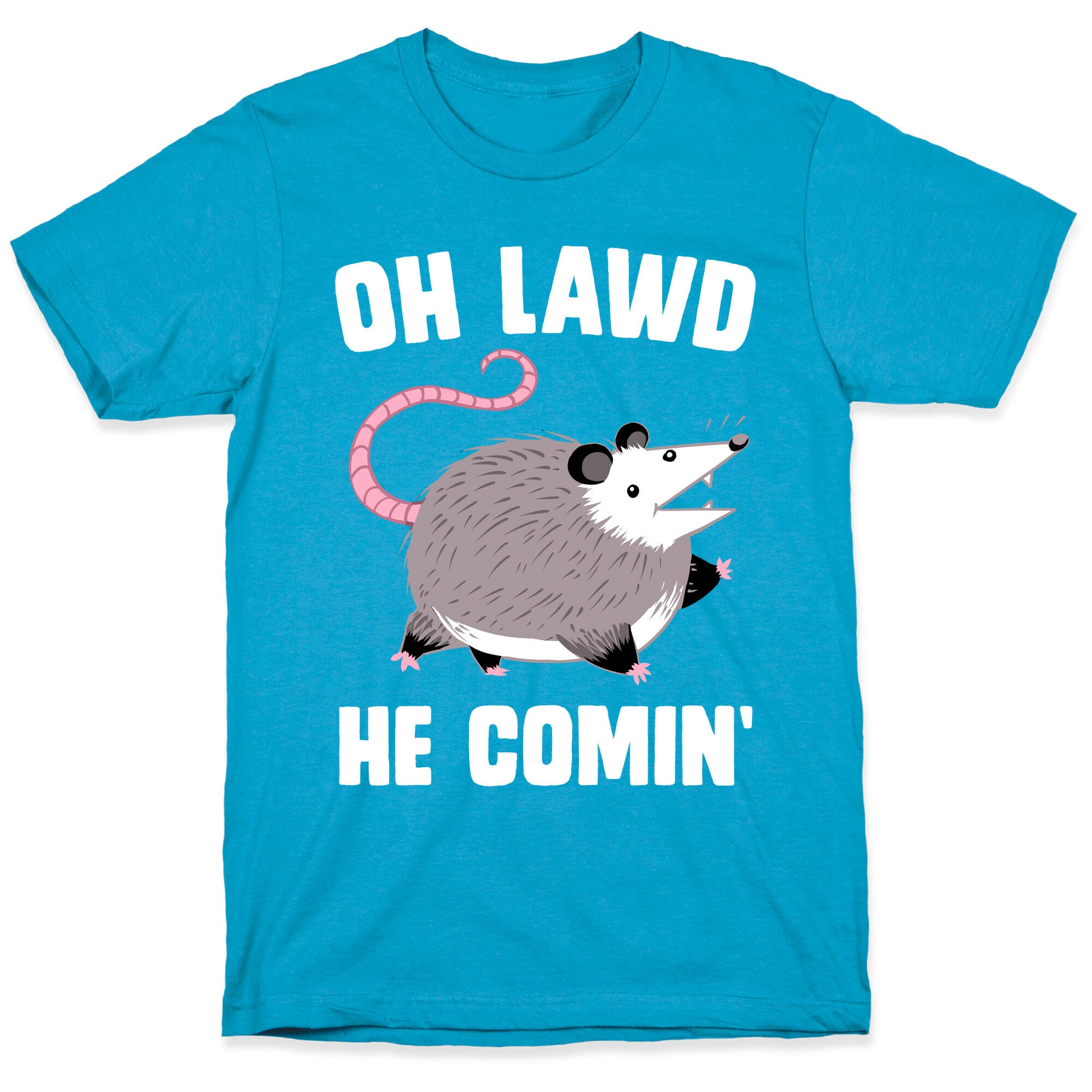 Oh Lawd He Comin' Possum Unisex Triblend Tee