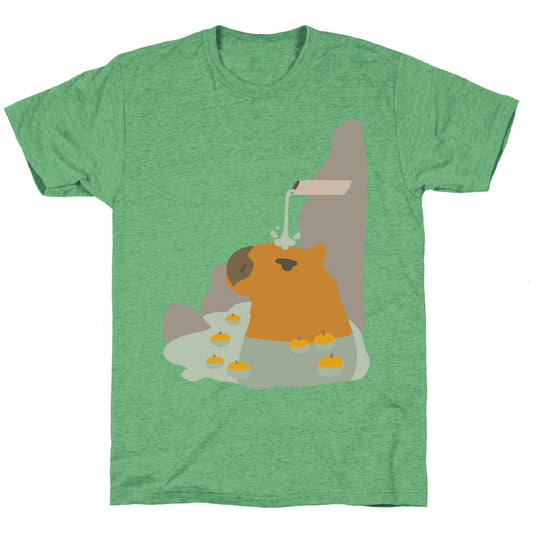Capybara Hot Spring Unisex Triblend Tee