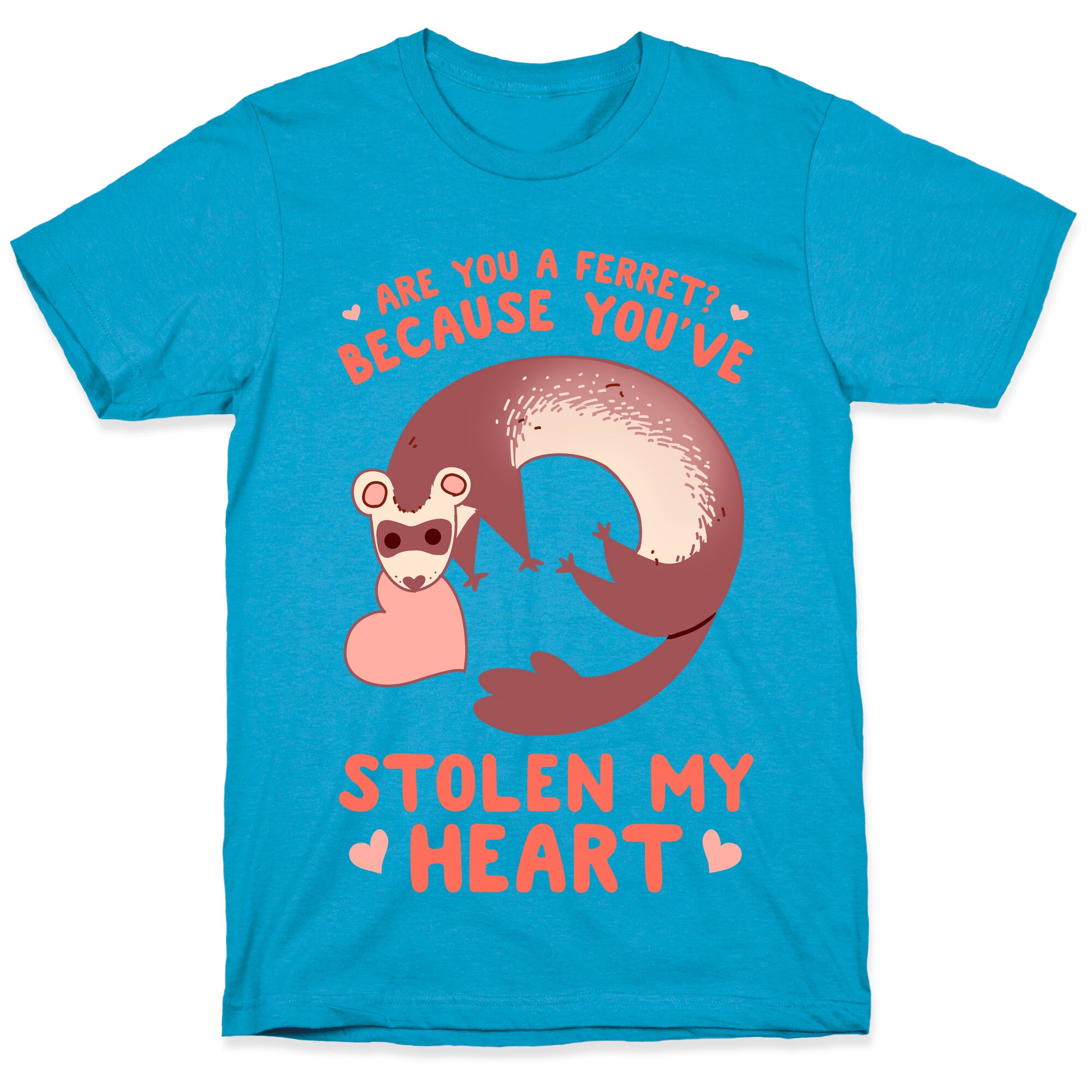 Are You A Ferret? Because You've Stolen My Heart Unisex Triblend Tee