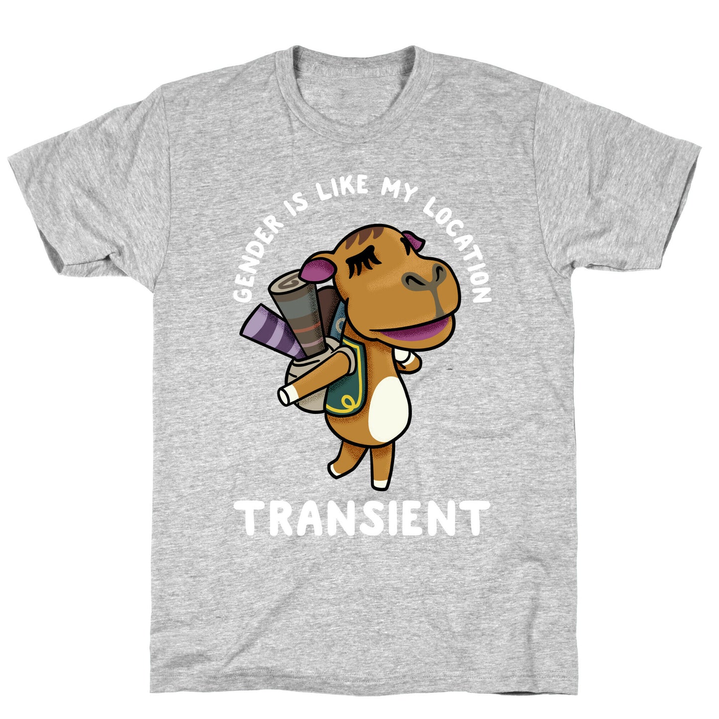Gender is Like My Location Transient Sahara T-Shirt